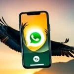 واتساب ابن الحاج الاسود